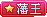 g9.gif